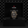 TUDOR Black Bay Bronze - M79250BA-0002 Watches