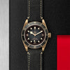 TUDOR Black Bay Bronze Watches M79250BA-0001