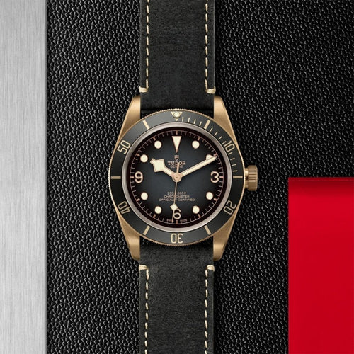 TUDOR Black Bay Bronze Watches M79250BA-0001