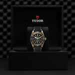 TUDOR Black Bay Bronze Watches M79250BA-0001