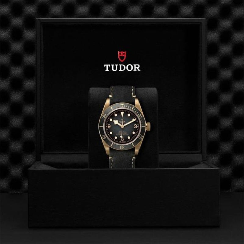 TUDOR Black Bay Bronze Watches M79250BA-0001