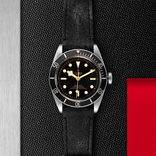 TUDOR Black Bay - M79230N-0008 Watches