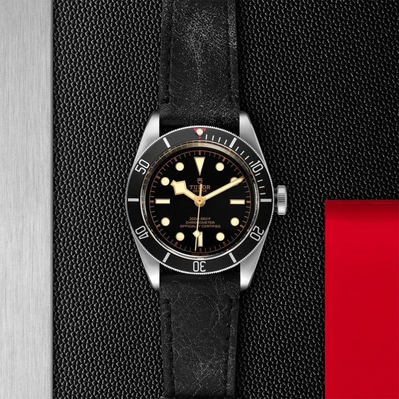TUDOR Black Bay - M79230N-0008 Watches