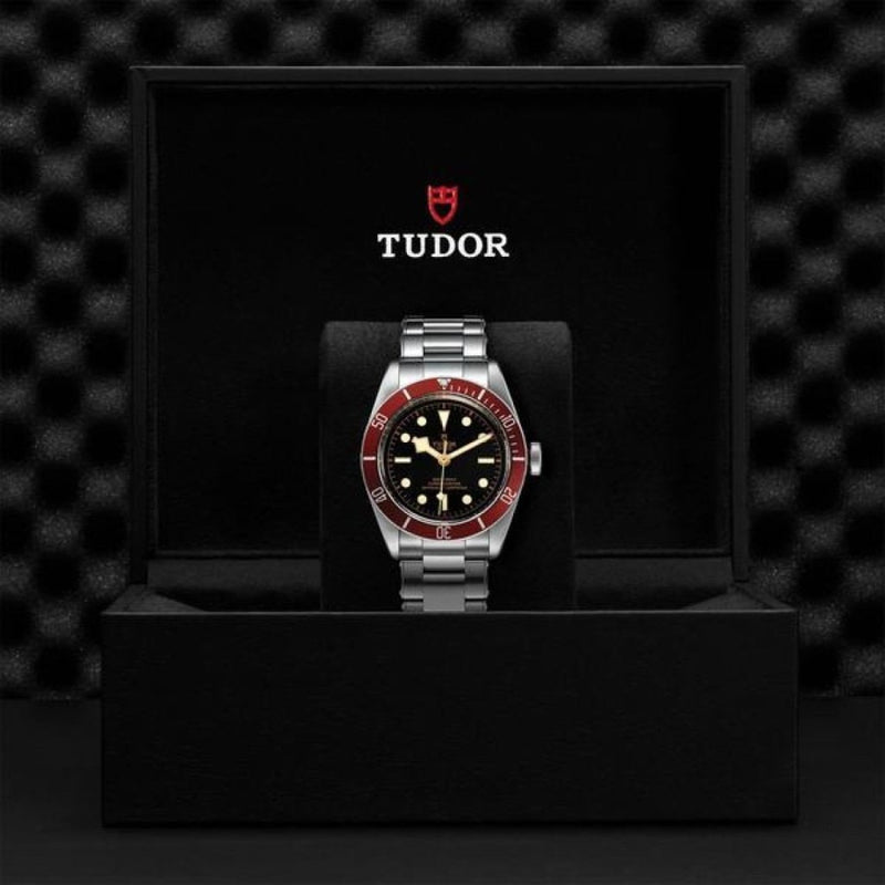 TUDOR Black Bay - M79230R-0012 Watches