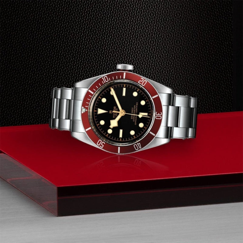 TUDOR Black Bay - M79230R-0012 Watches