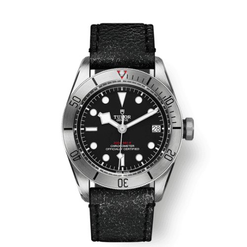 TUDOR BLACK BAY STEEL - M79730-0005 Watches