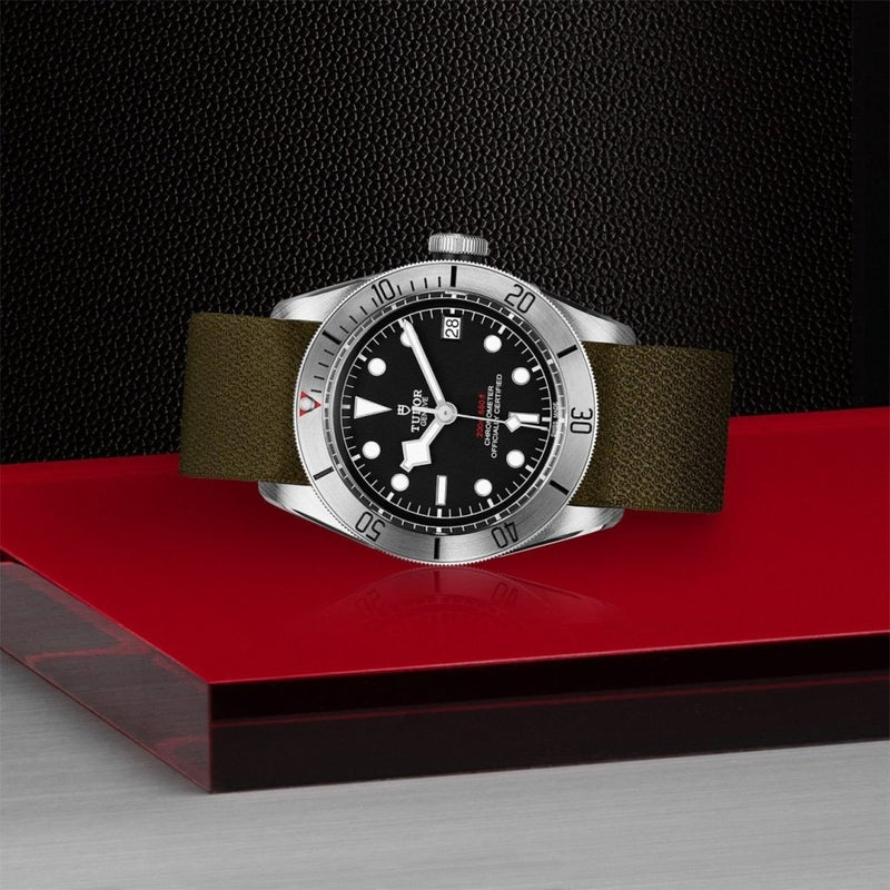 TUDOR Black Bay Steel Watches M79730-0004