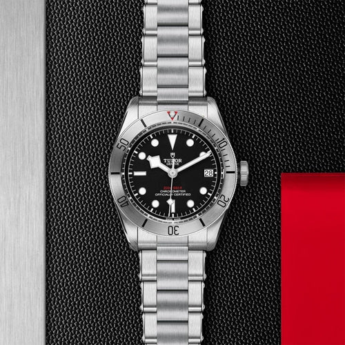 TUDOR Black Bay Steel Watches M79730-0006