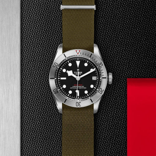 TUDOR Black Bay Steel Watches M79730-0004