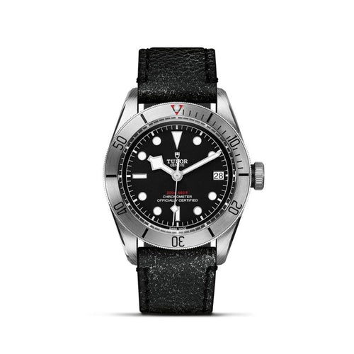 TUDOR Black Bay Steel Watches M79730TN-0005