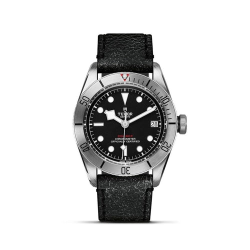 TUDOR Black Bay Steel Watches M79730TN - 0005