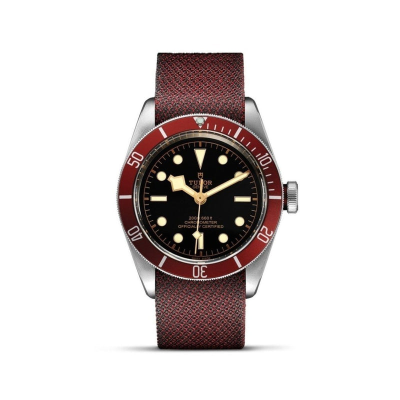 TUDOR Black Bay Watches M79230R-0009