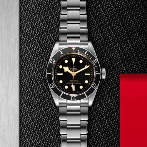 TUDOR Black Bay Watches M79230N-0009