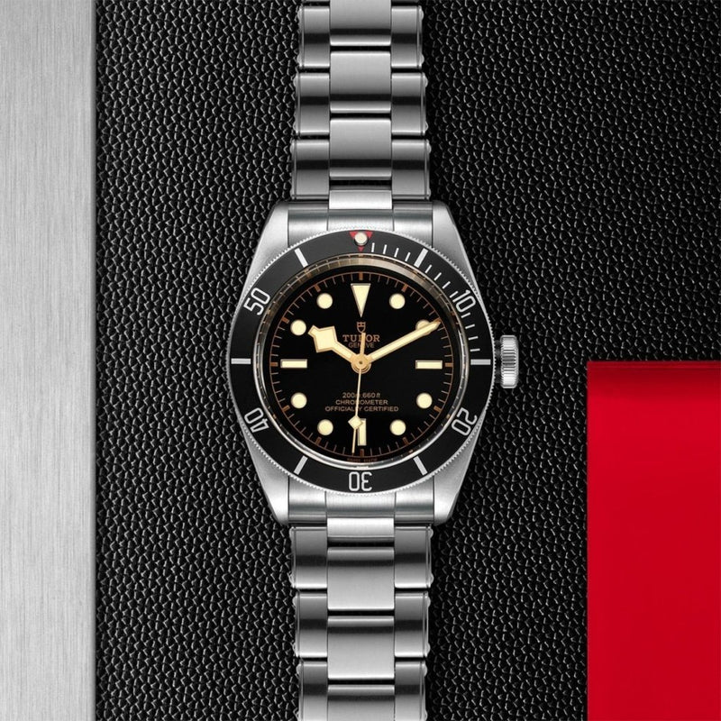 TUDOR Black Bay Watches M79230N-0009