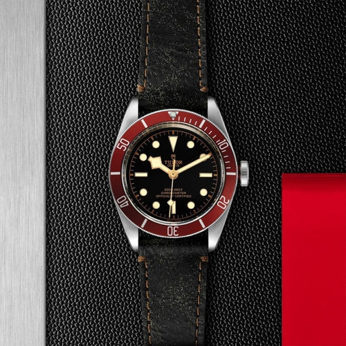 TUDOR Black Bay Watches M79230R-0011