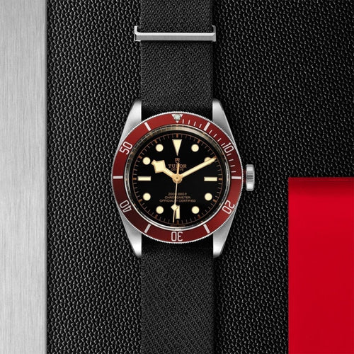 TUDOR Black Bay Watches M79230R-0010