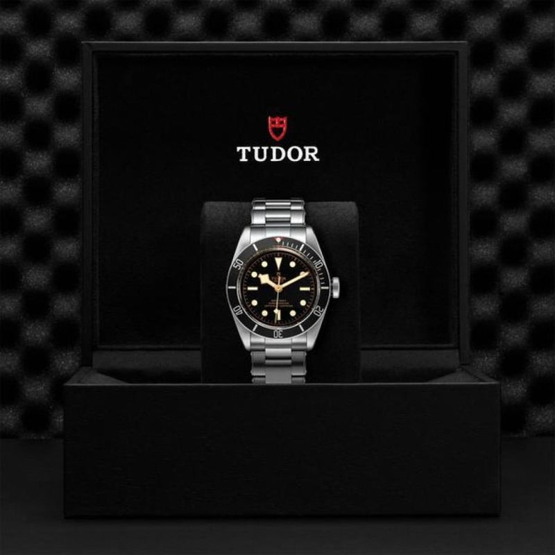 TUDOR Black Bay Watches M79230N-0009
