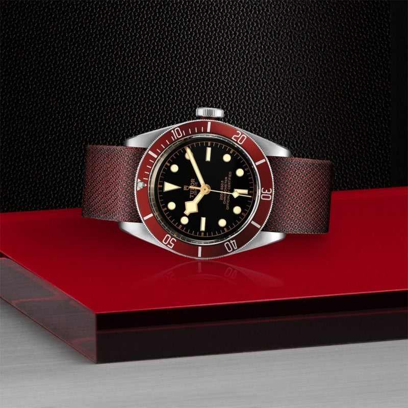 TUDOR Black Bay Watches M79230R-0009