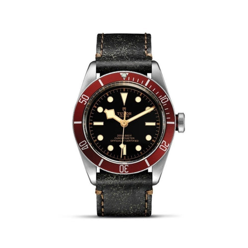 TUDOR Black Bay Watches M79230R-0011