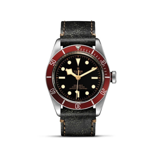 TUDOR Black Bay Watches M79230R - 0011