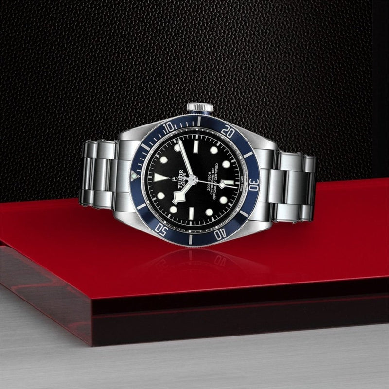 TUDOR Black Bay Watches 100-140-1919