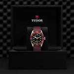 TUDOR Black Bay Watches M79230R-0009