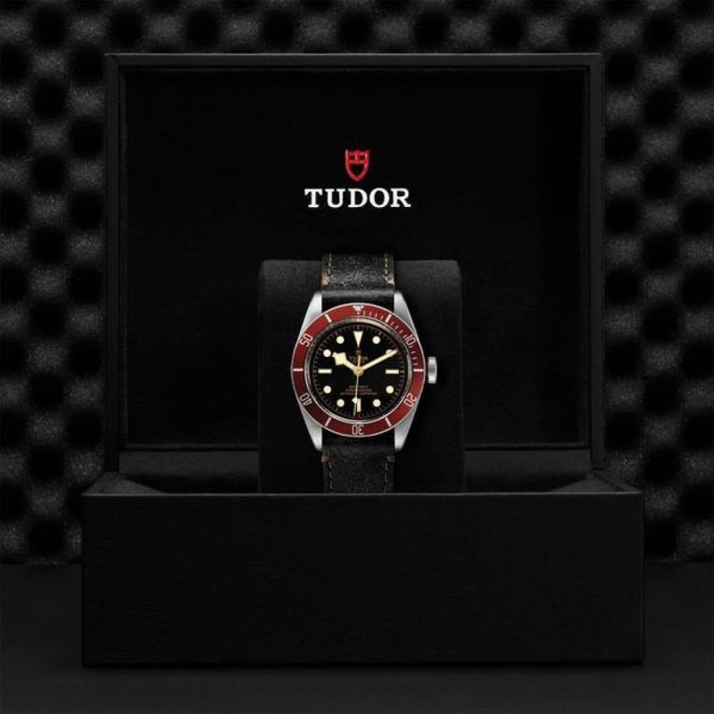 TUDOR Black Bay Watches M79230R-0011