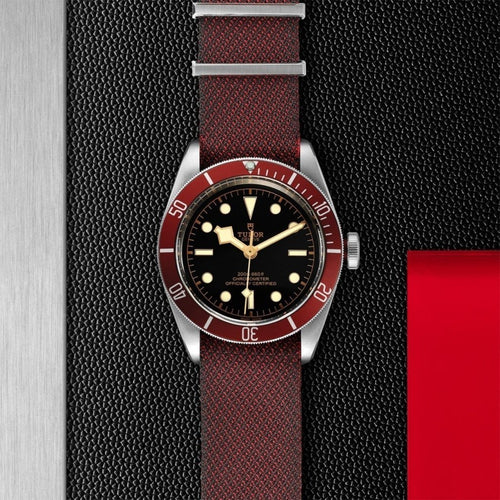 TUDOR Black Bay Watches M79230R-0009