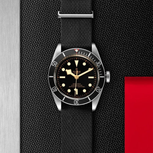 TUDOR Black Bay Watches M79230N-0005