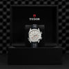 TUDOR Heritage Advisor - M79620T-0011 Watches