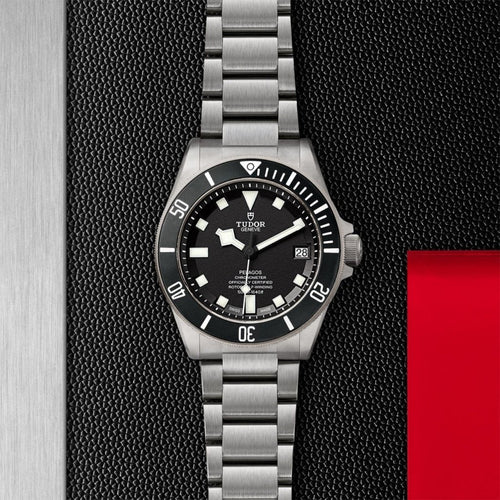 TUDOR Pelagos Watches M25600TN-0001