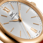 IWC Schaffhausen PORTOFINO AUTOMATIC 34 - IW357401 Watches