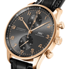 IWC Schaffhausen Portugieser Chronograph - IW371610 Watches