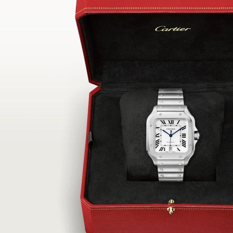 Cartier SANTOS DE WATCH - WSSA0018 Watches