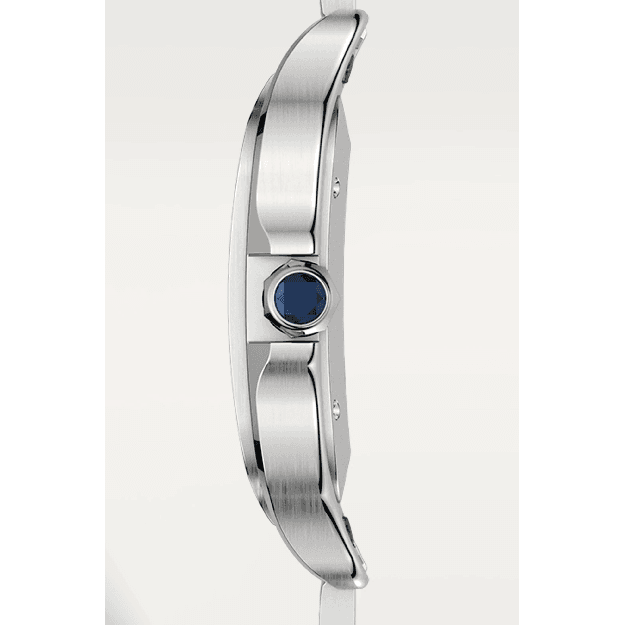 Cartier Santos de watch - WSSA0030 Watches