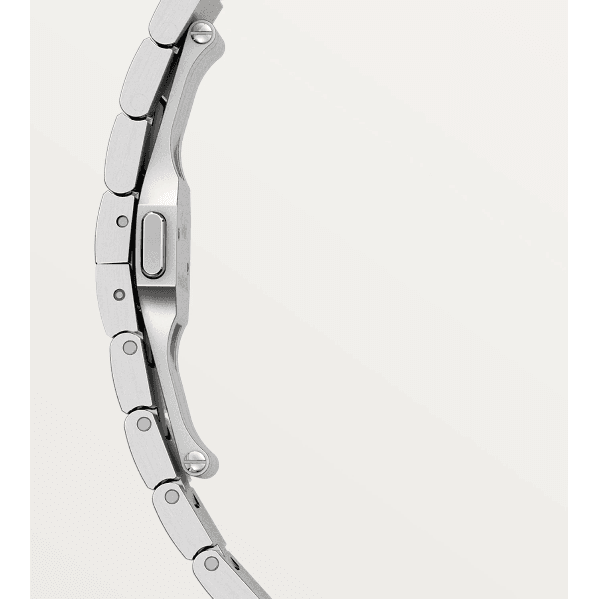Cartier Santos de watch - WSSA0030 Watches